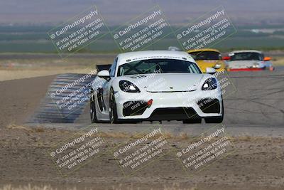 media/May-03-2024-PCA Central Coast (Fri) [[eaa7da0ee1]]/Red Group/Session 1 (Grapevine)/